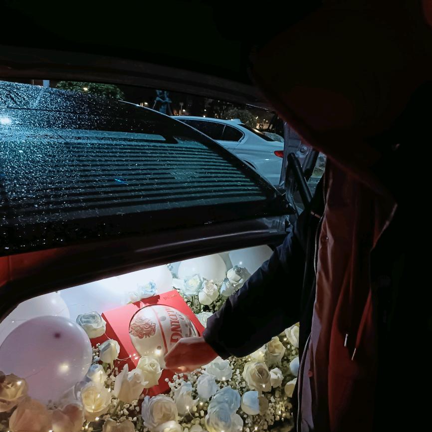 你是鸭还是鹅  鸭