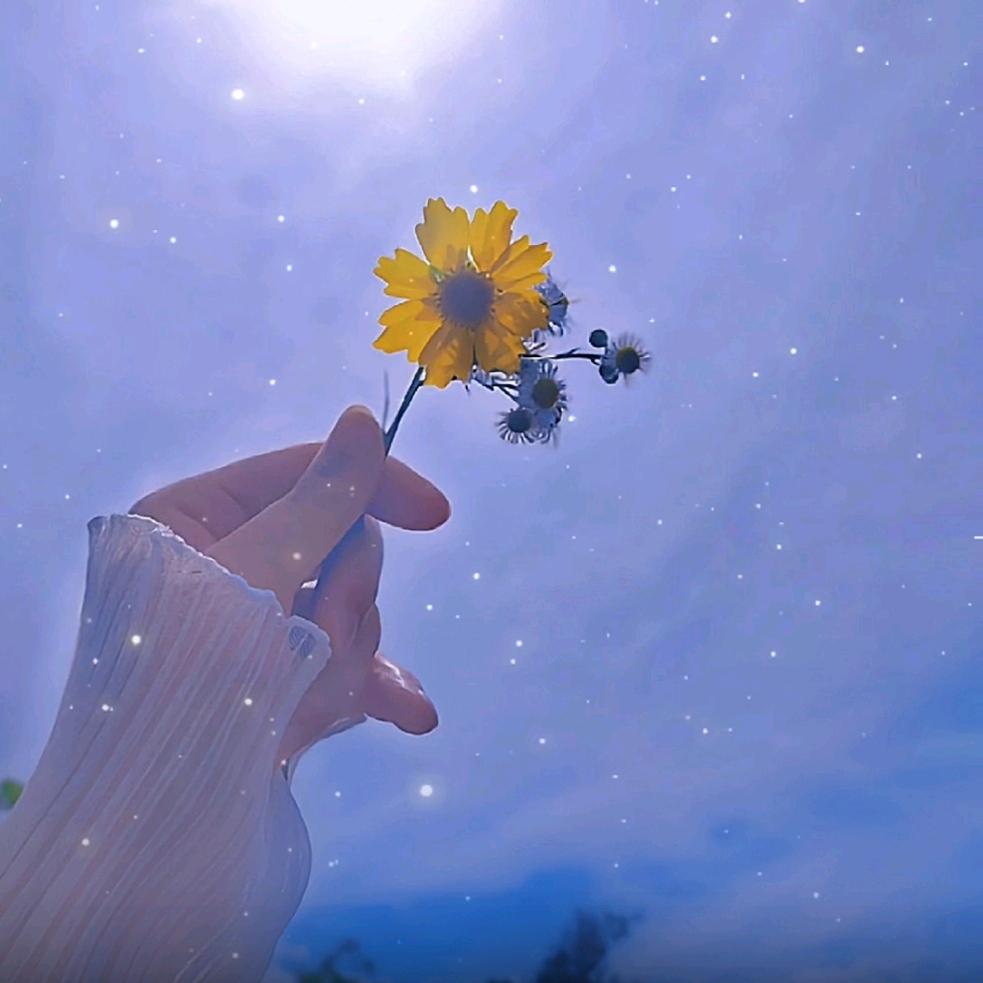 子非🐟焉知🐟