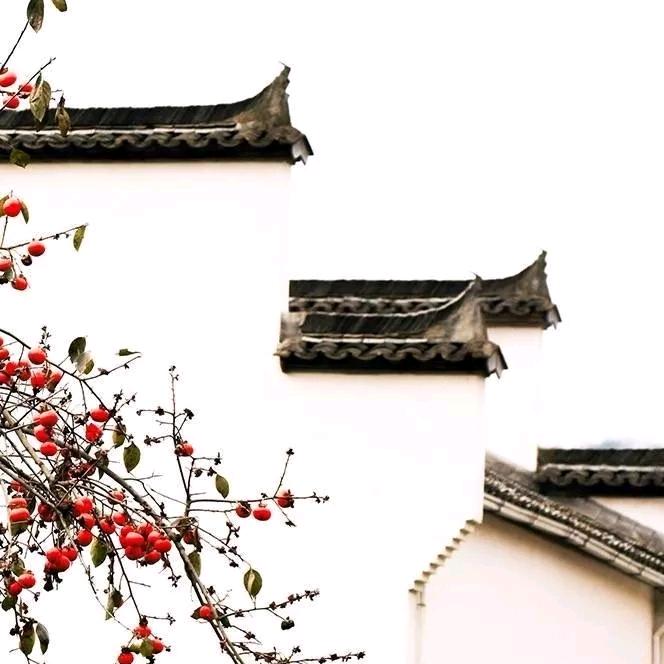 许一世繁华