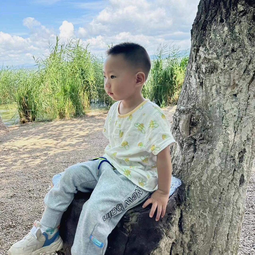 🌹🌹🌹落叶知秋🌹🌹🌹