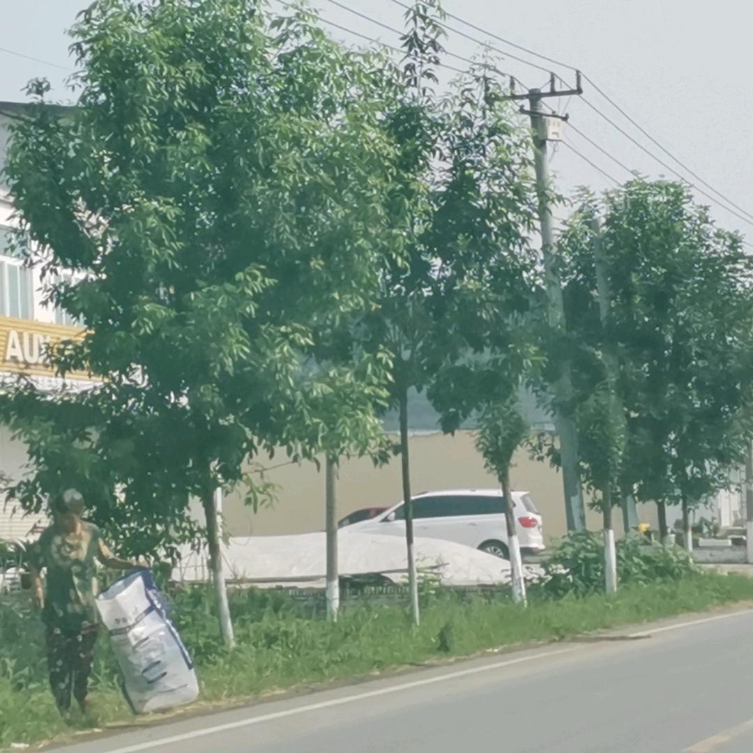 用户6364021618080王杰