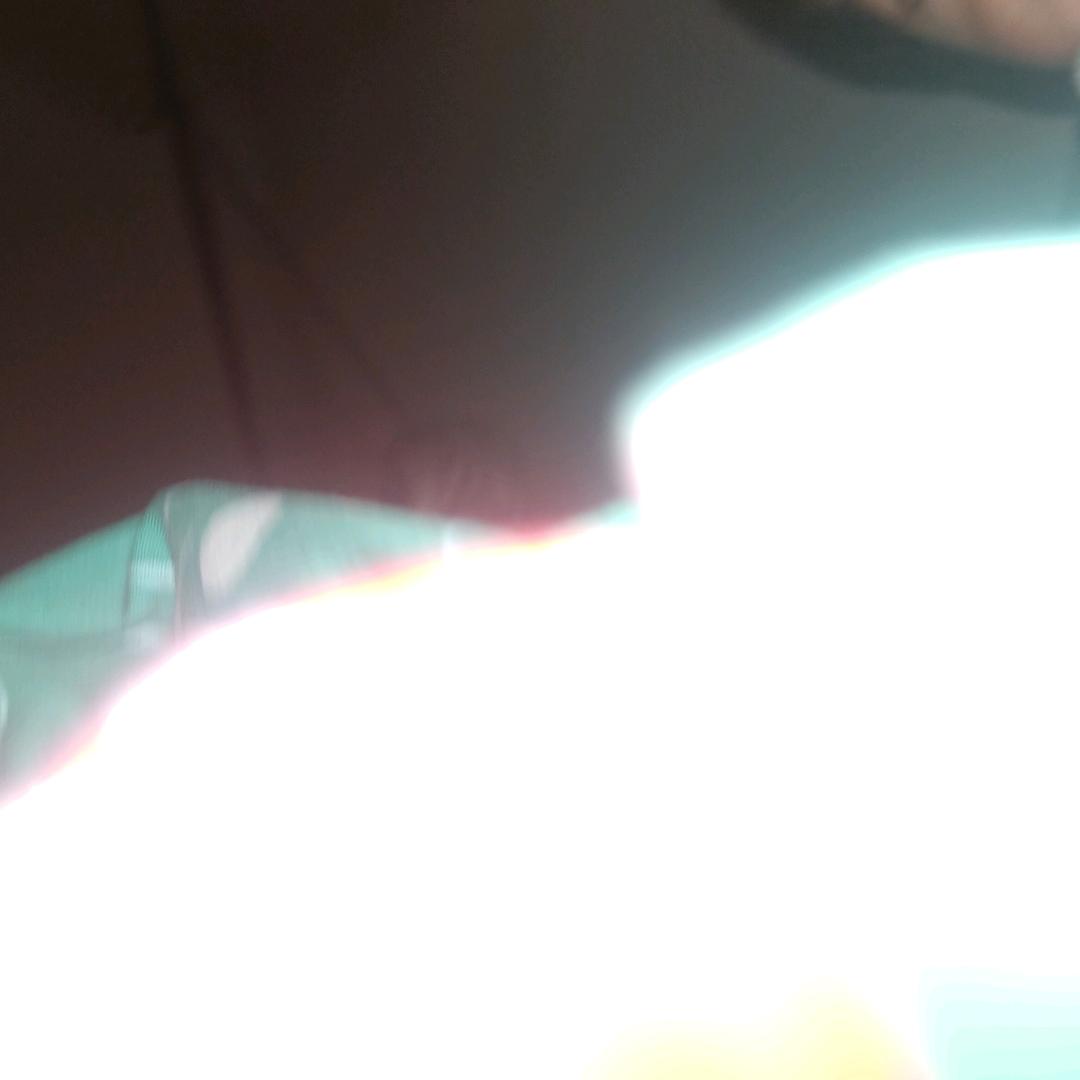 桂