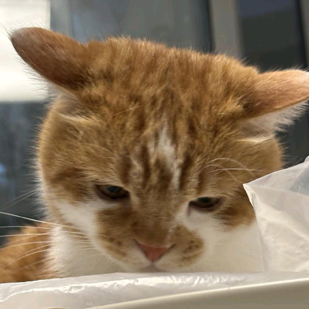 我去你爹的苹果17