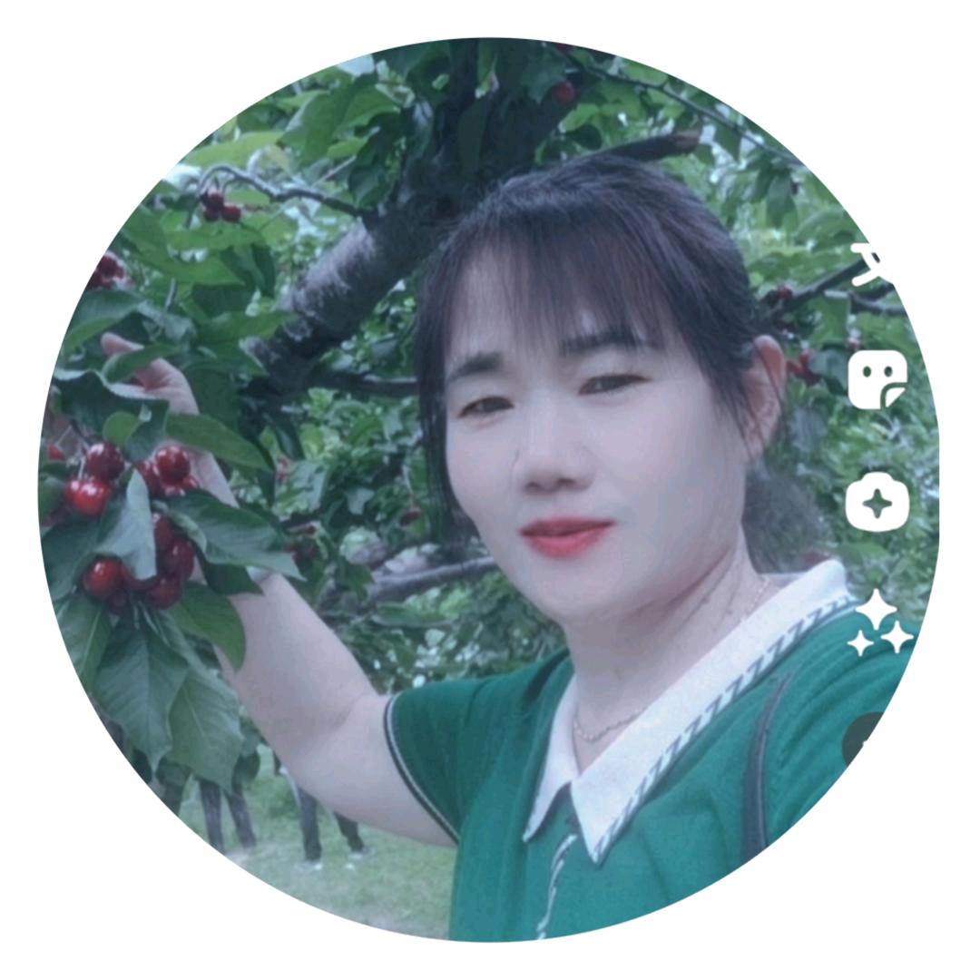 珍珍r