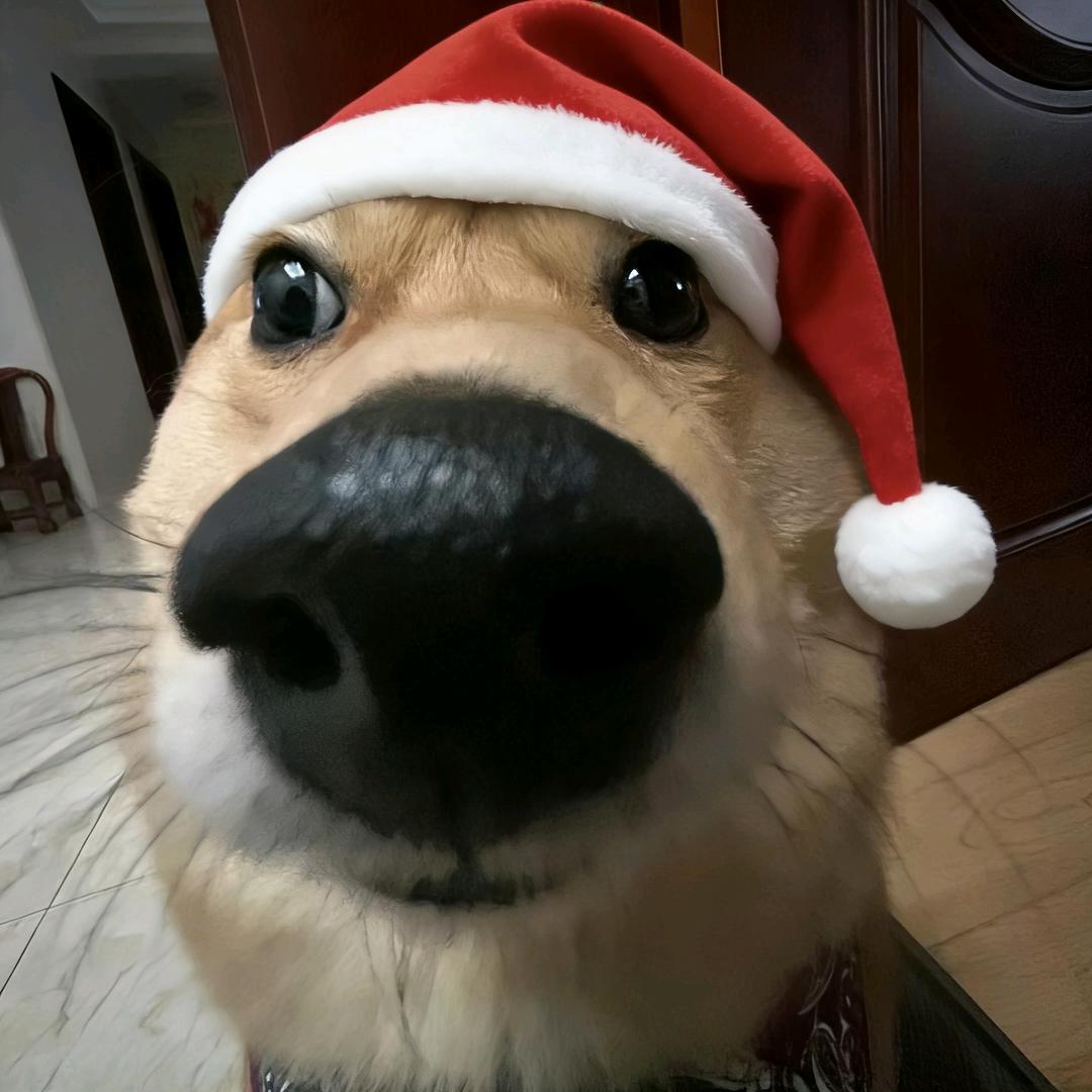 鸡蛋饼
