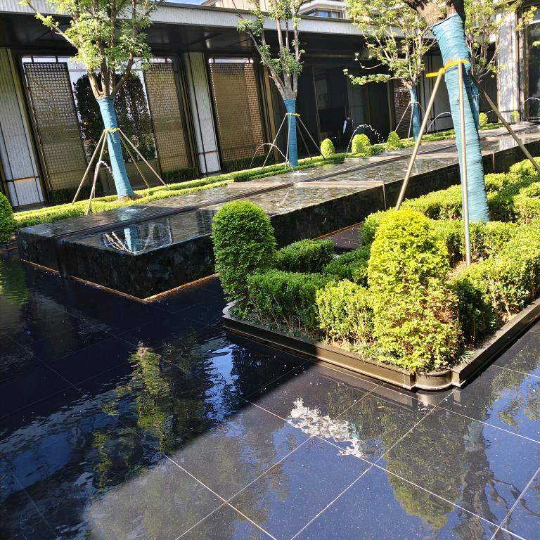 风雨同舟