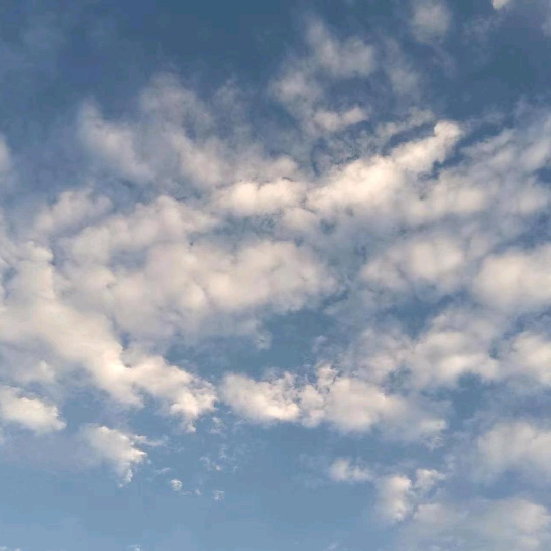 柬埔寨8号家具总汇