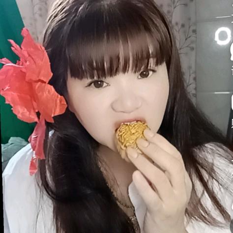芯宝