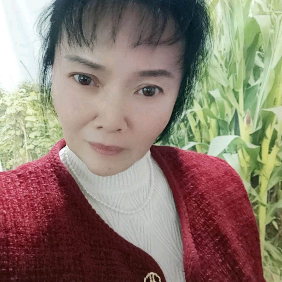 单身姐
