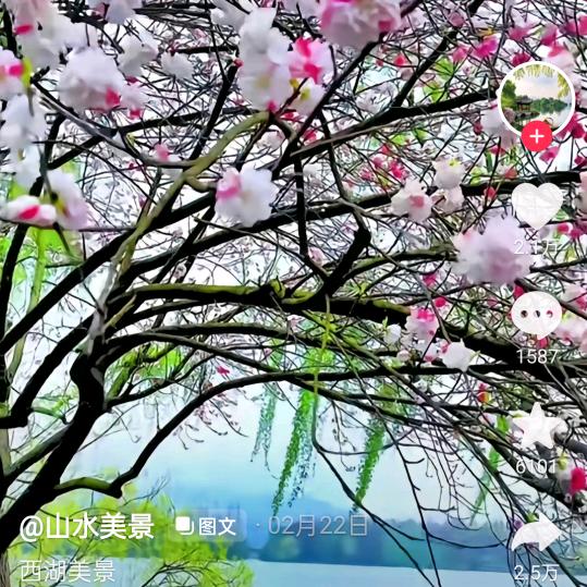 榴莲