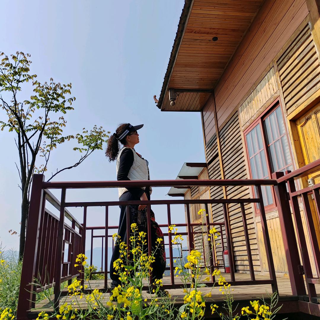 🌻雪.岁月静好🌻