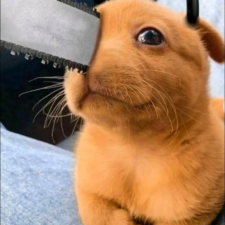 我就是你的梦中穷人