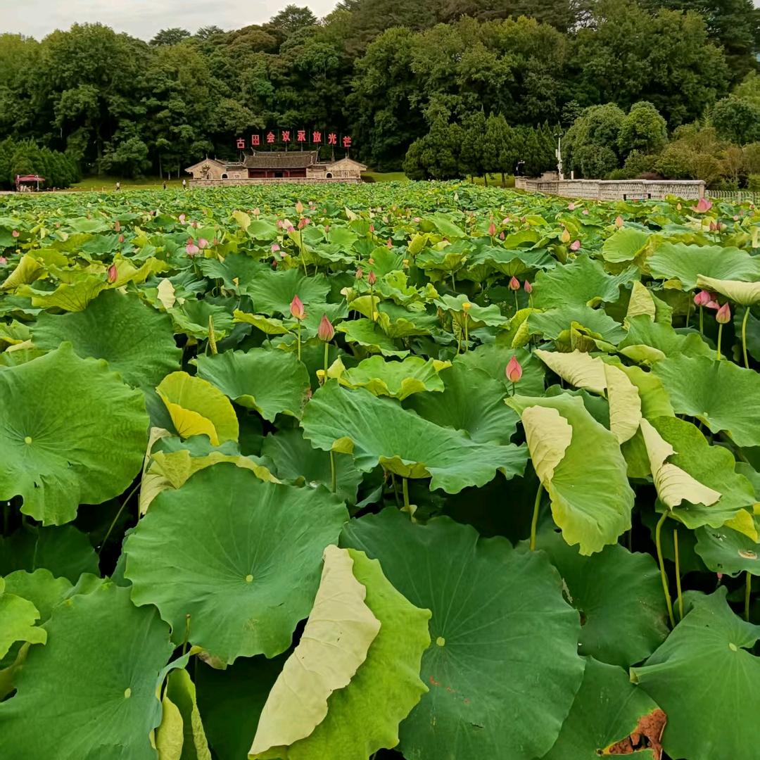 一字缘❤