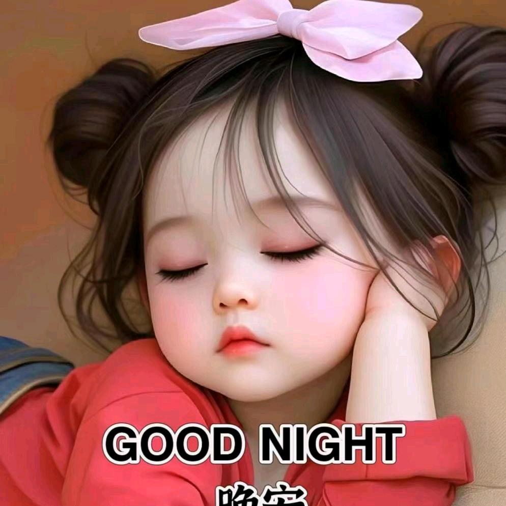 小罗           你的关注