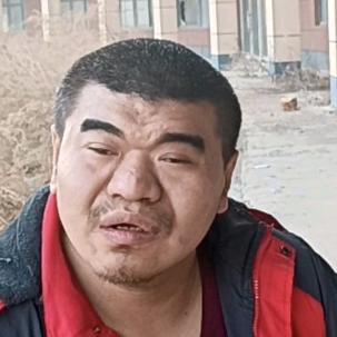 努力的龙龙