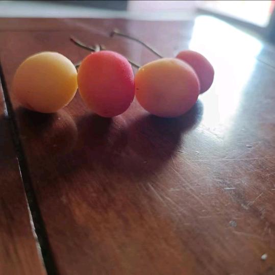 ☞✘小队长✘☜