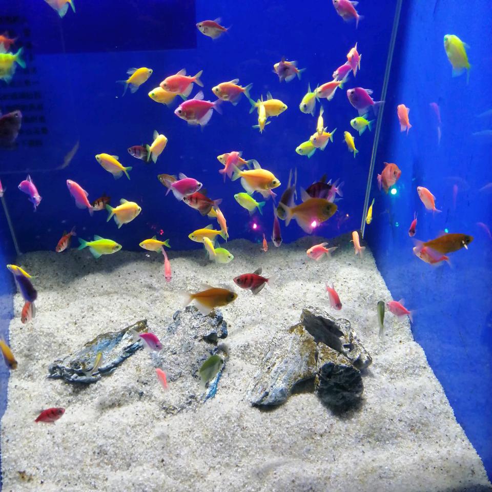 商丘市睢阳区霖楠日用百货店