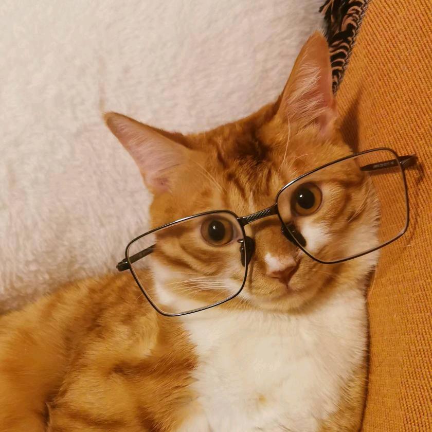 福仔就是我