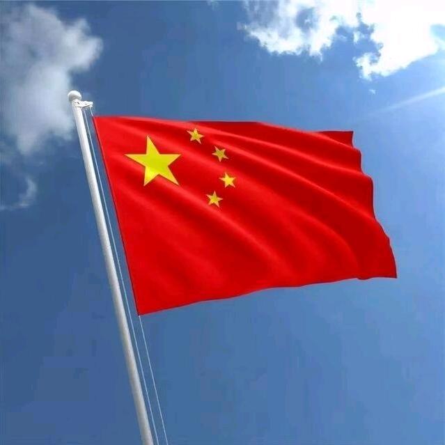 小蚂蚁