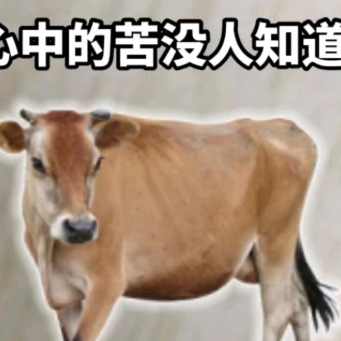 没有天生的好