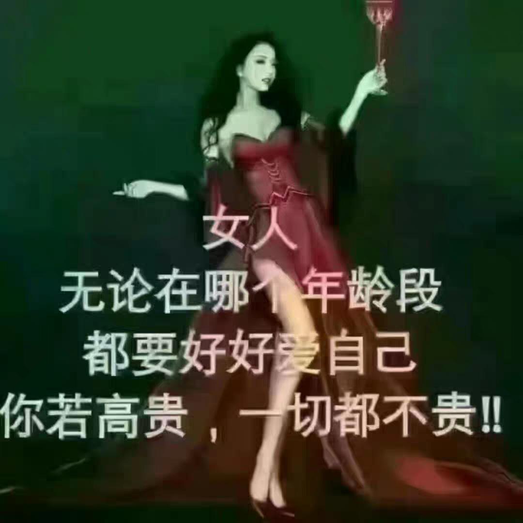 豹豹