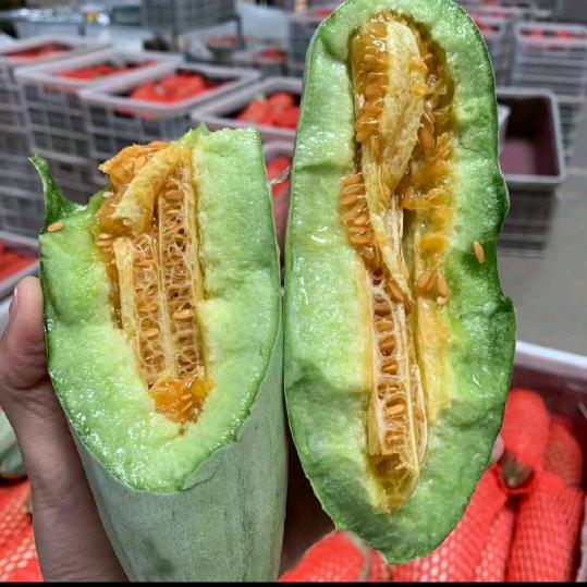 寿光甜瓜～九号果仓供应链