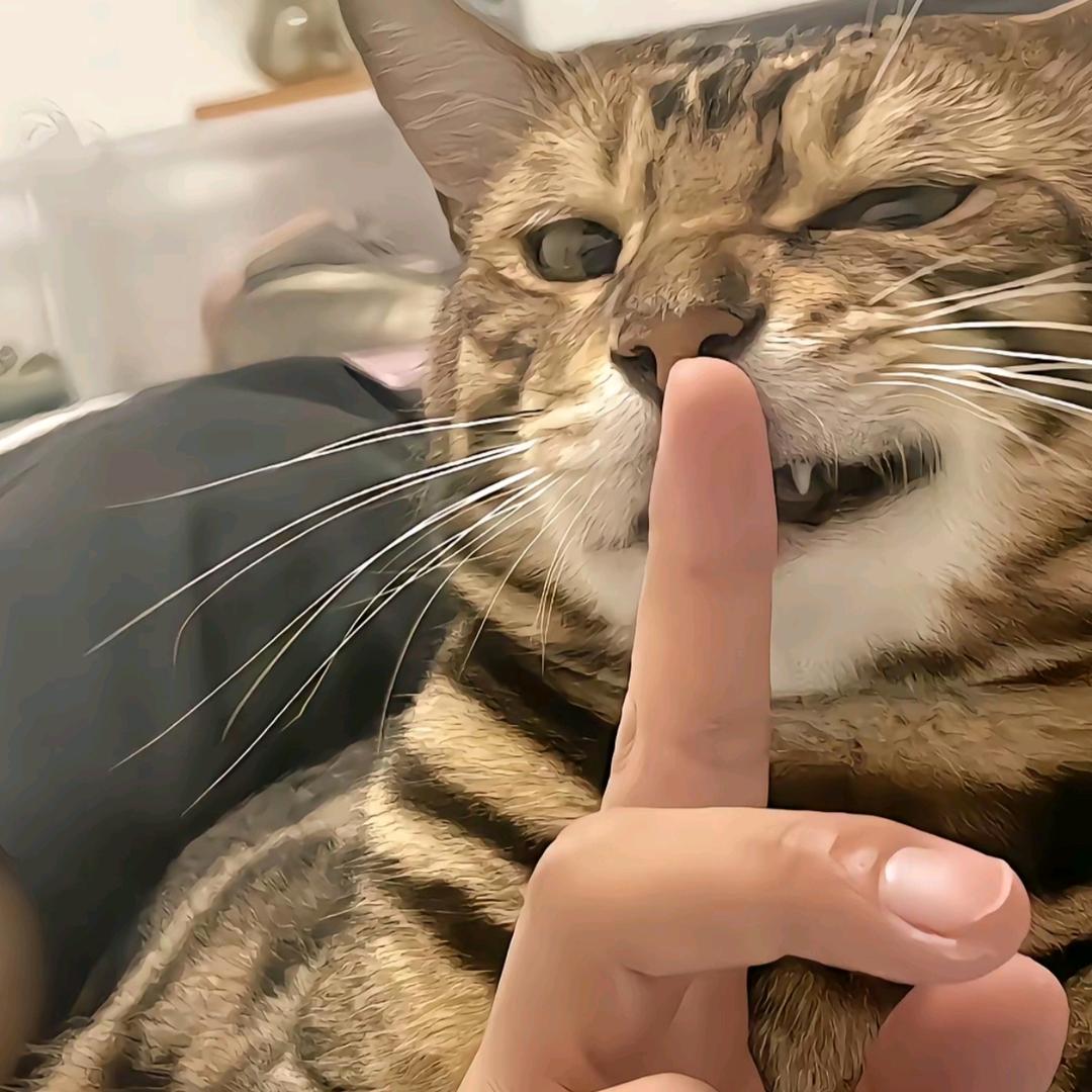 。，：
