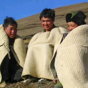 脏话比谎话干净
