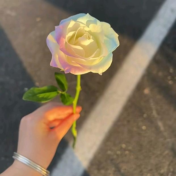 🌈木兰说人生