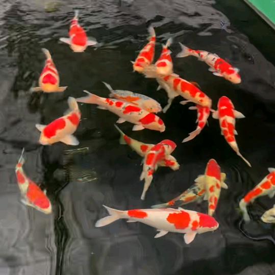 厚积薄发