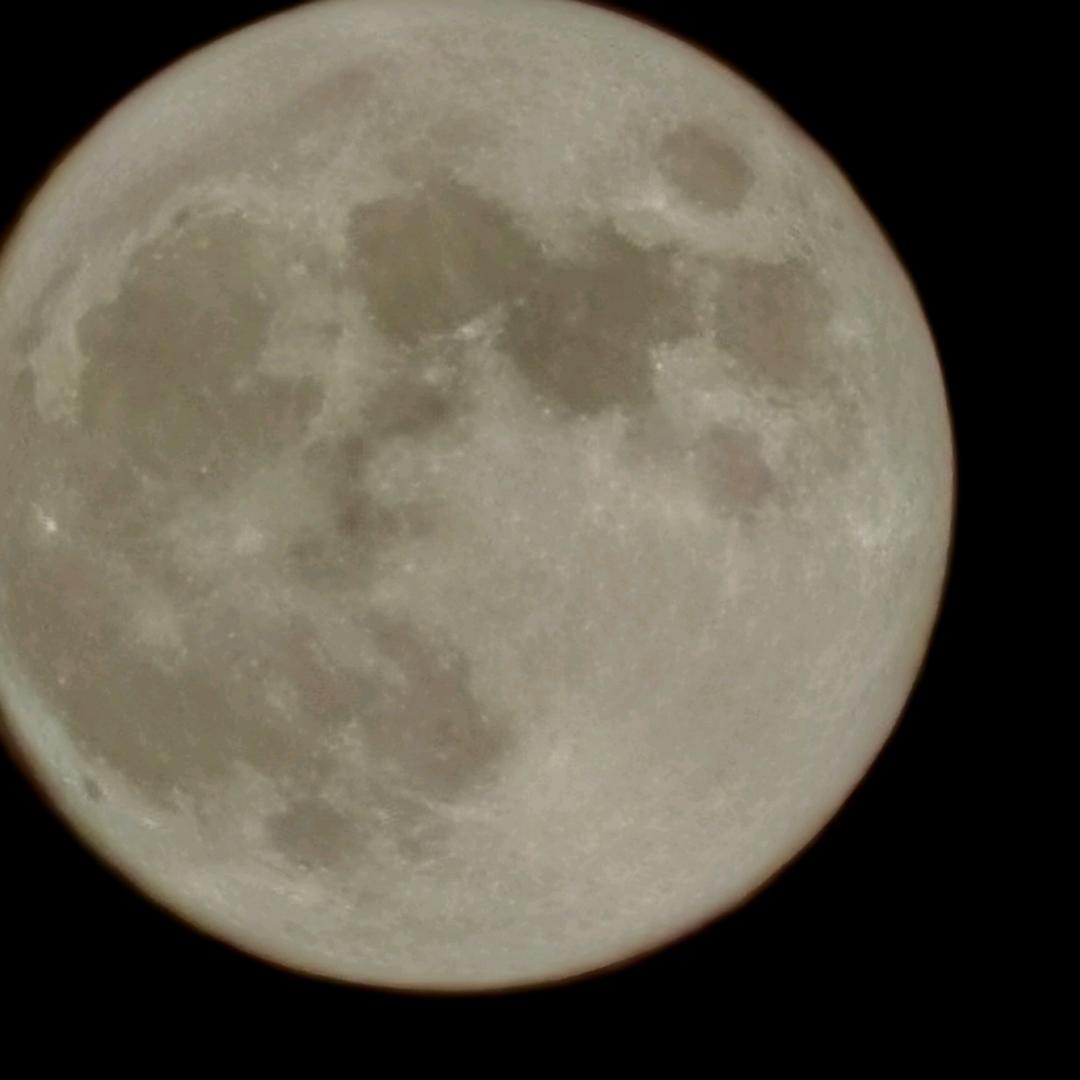 子夜相会，鸿雁飞过