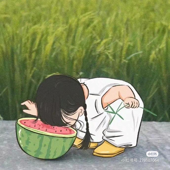 夹欣饼干
