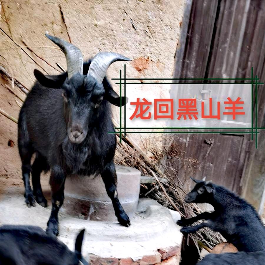 南康区龙回万红养殖场