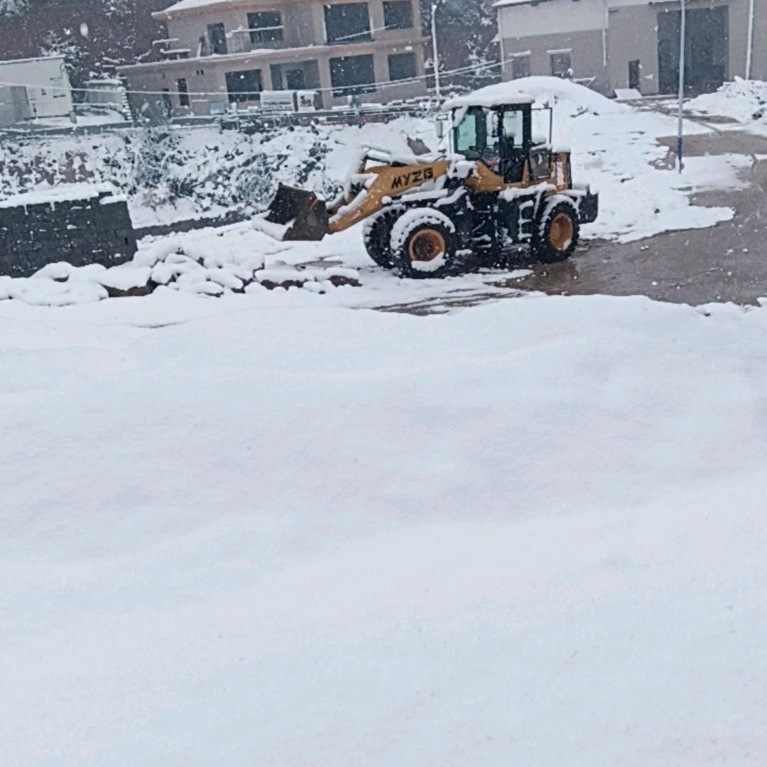 (@_@;)关弟哥