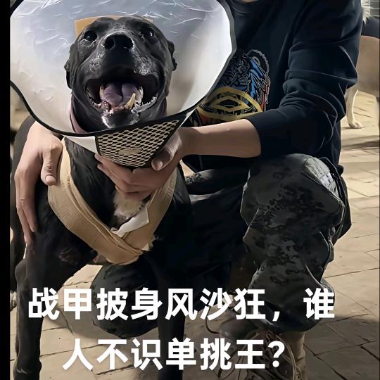 &君陌&
