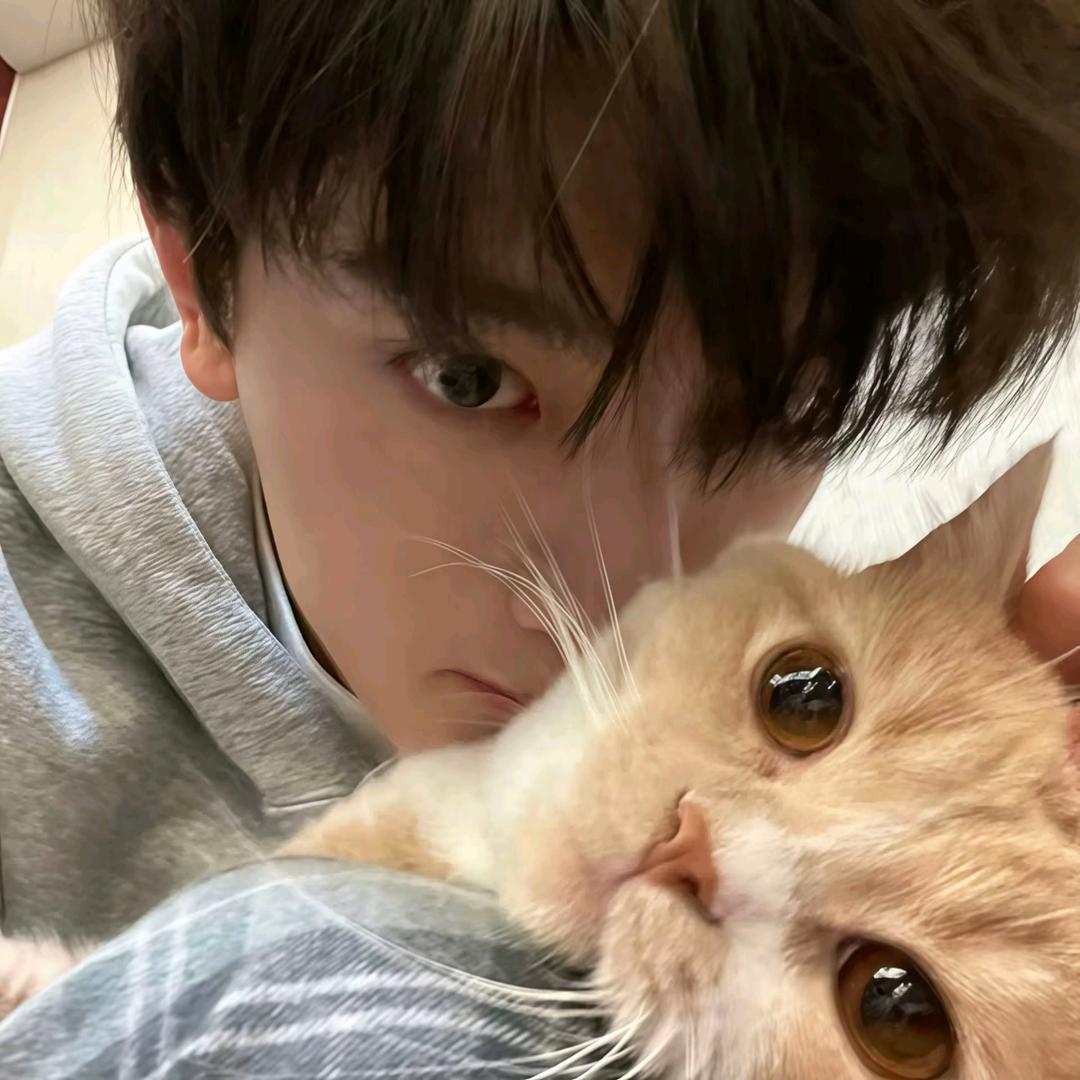 超级无敌暴龙战士