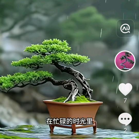 达里尼