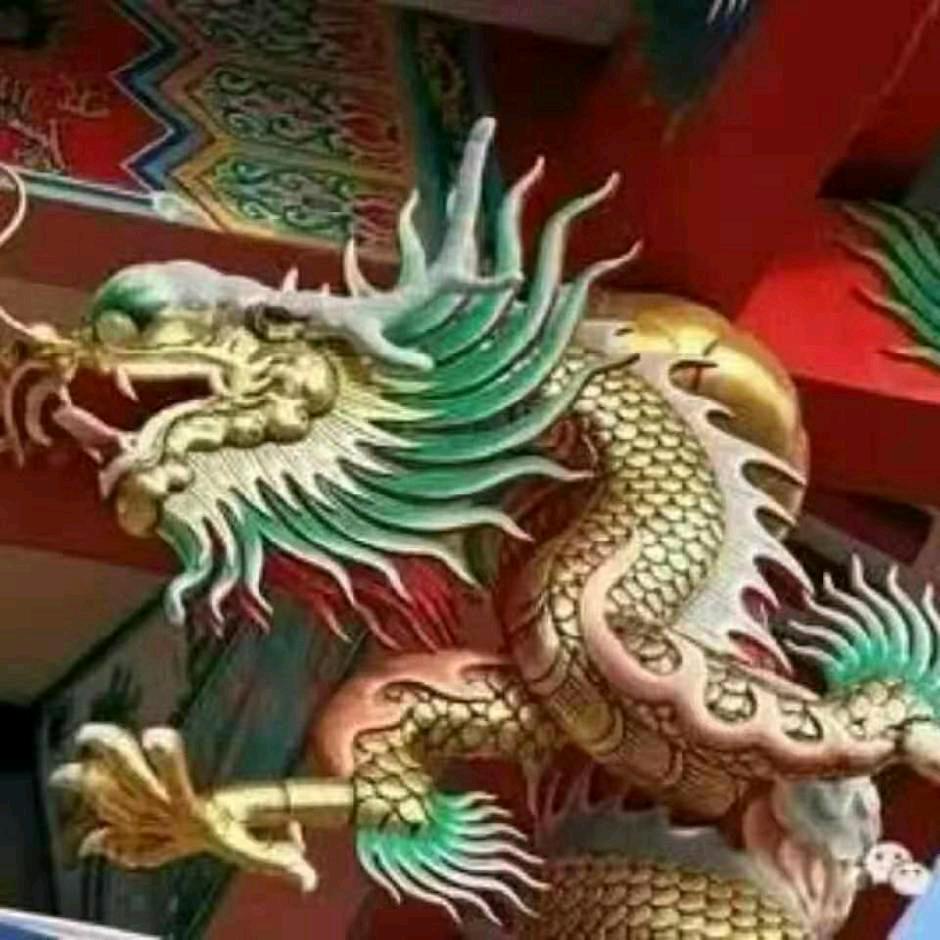 神龍疯游抖音火山。(吉祥)5