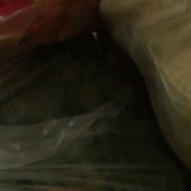 🎣🎣🎣🎣🎣🎣