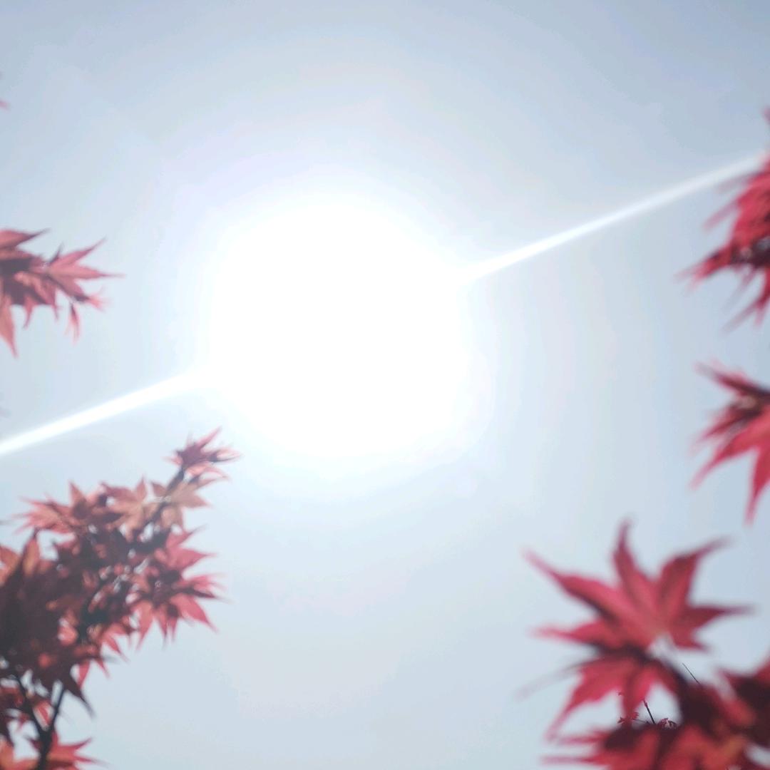 老方