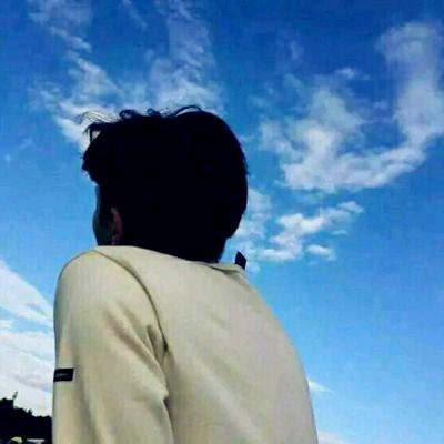 振宇《王振宇》