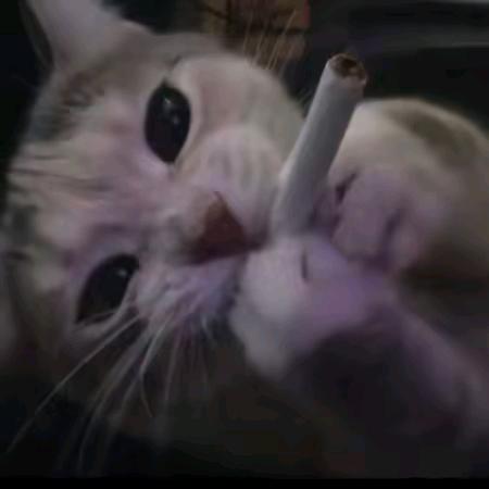 晋贵严选名品