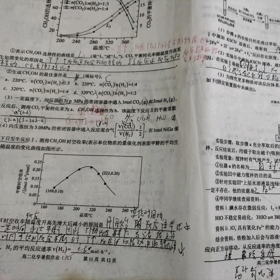 汪汪队🐶天天狗