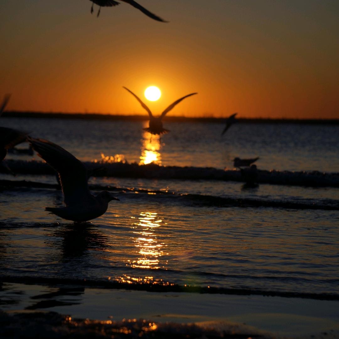 原来你也在这里