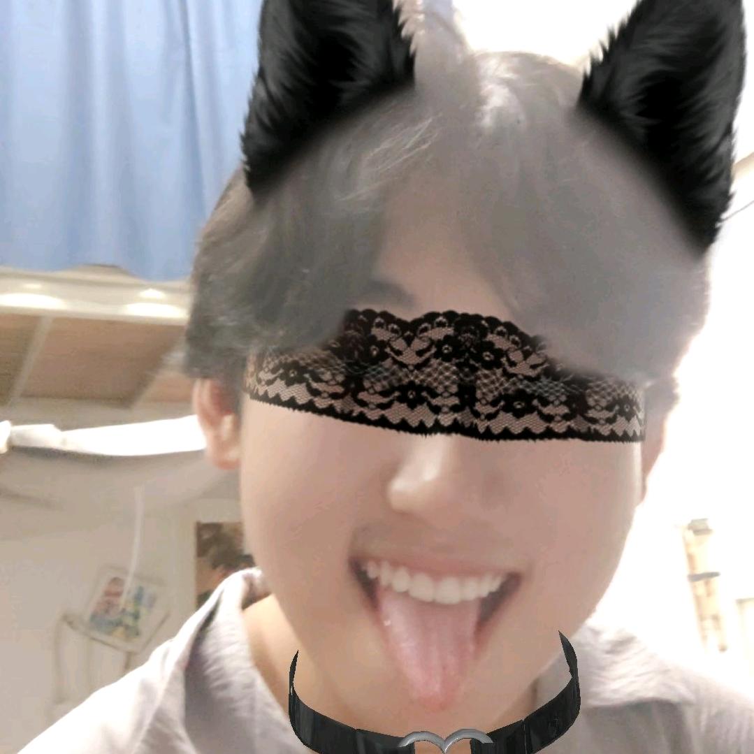 叶子的夜