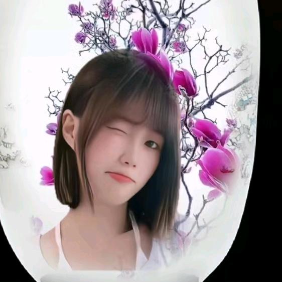 红玫瑰🌹