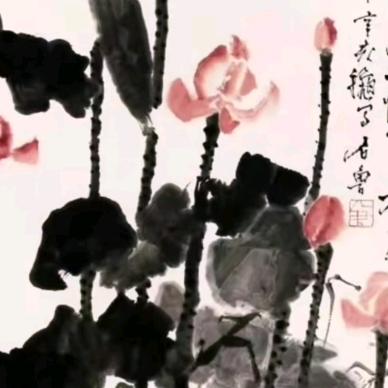 雨墨