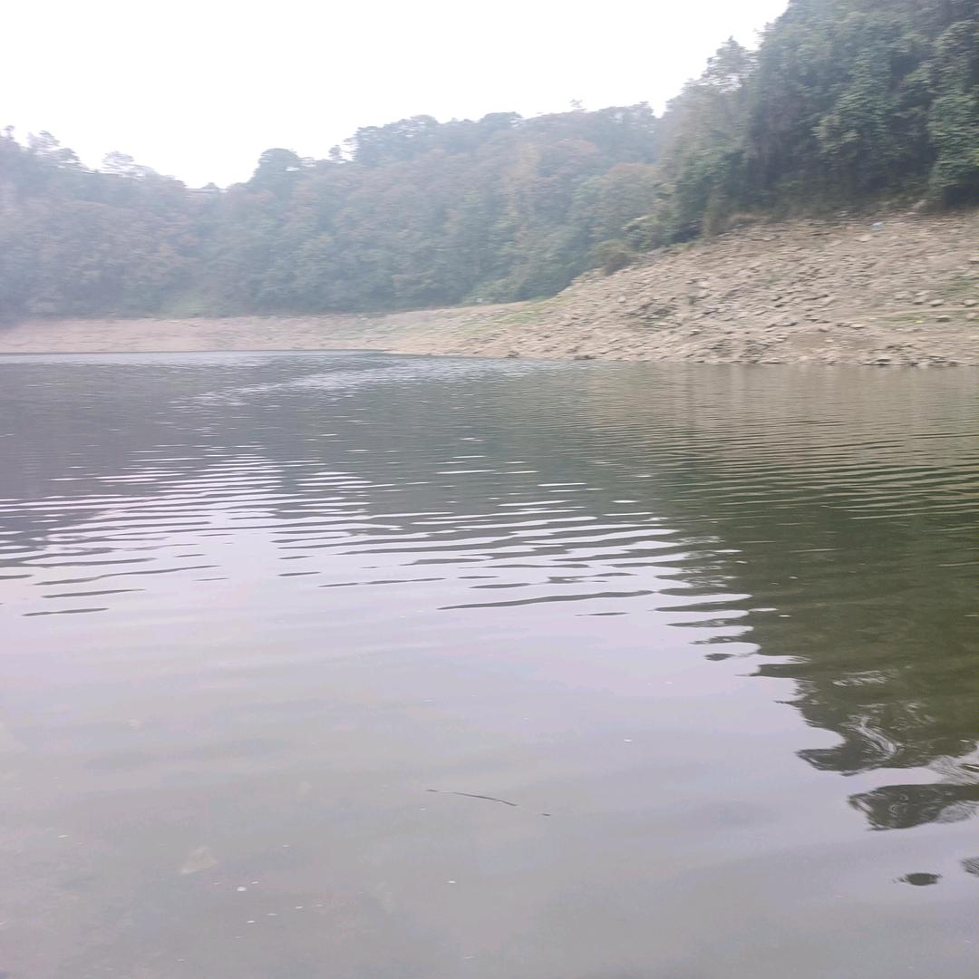 开心快乐每一天