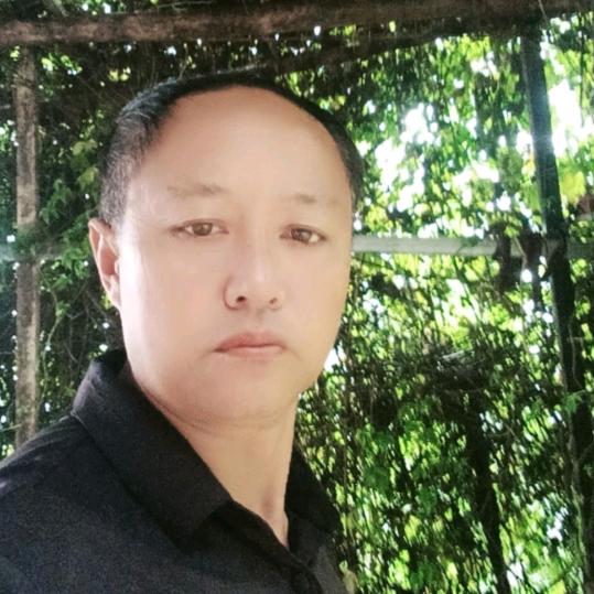 顺华茶业