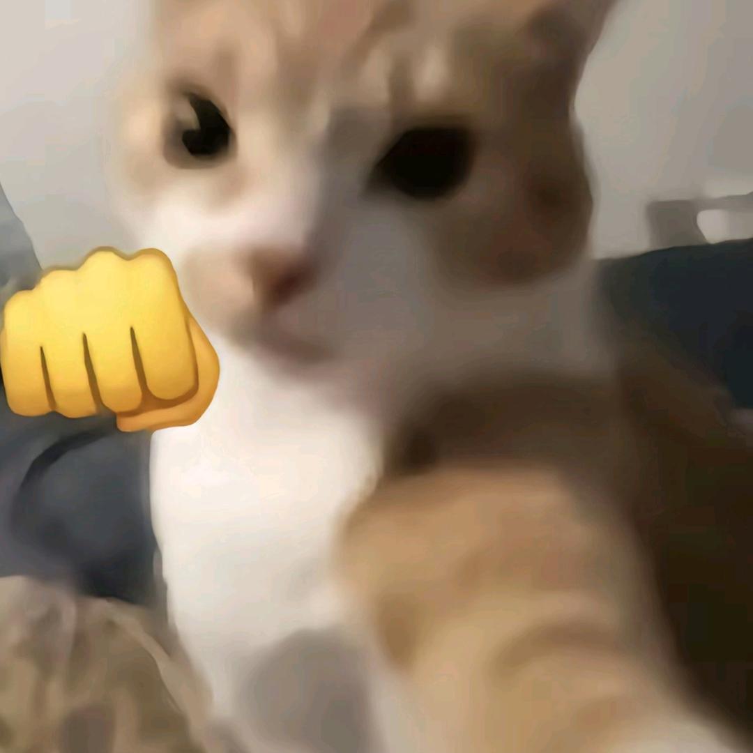 767